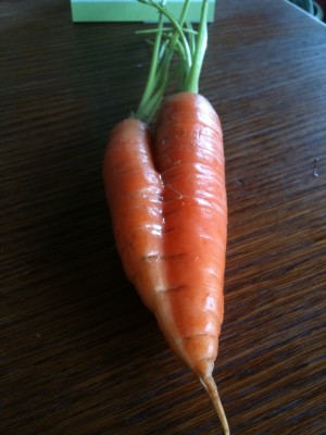 carrott photo Heart Shaped Carrot