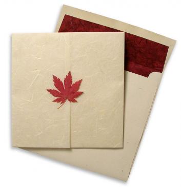 Heavyweight 105 lb paper Pressed Leaf Real Japanese maple leaf 