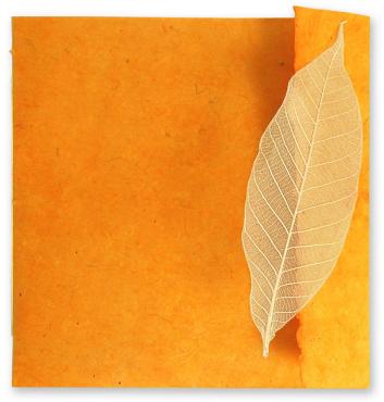 Beatrice Wedding Invitations Click on thumbnails for additional views Beatrice Wedding Invitations Click on thumbnails for additional views