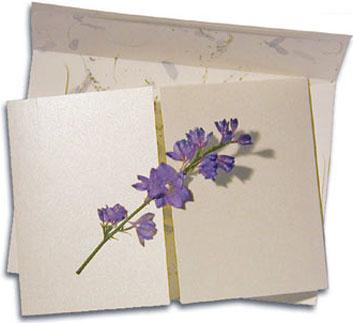 Lady Gregory Wedding Invitations