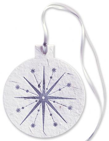 Seedling Ornament Holiday Card