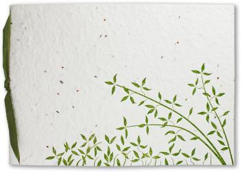 Seedling Wedding Invitations