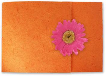 Sol Wedding Invitations