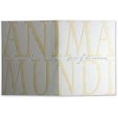 Anima Mundi Holiday Card