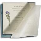 Catherine Wedding Invitations