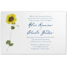 Sunflower Wedding Invitations