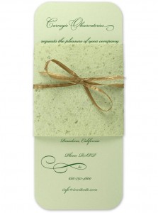 lime_xmas DIY wedding invitation